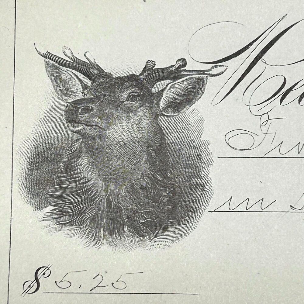 Vintage Paper Receipt fancy elaborate Design Elk (1893) Antique Receipt